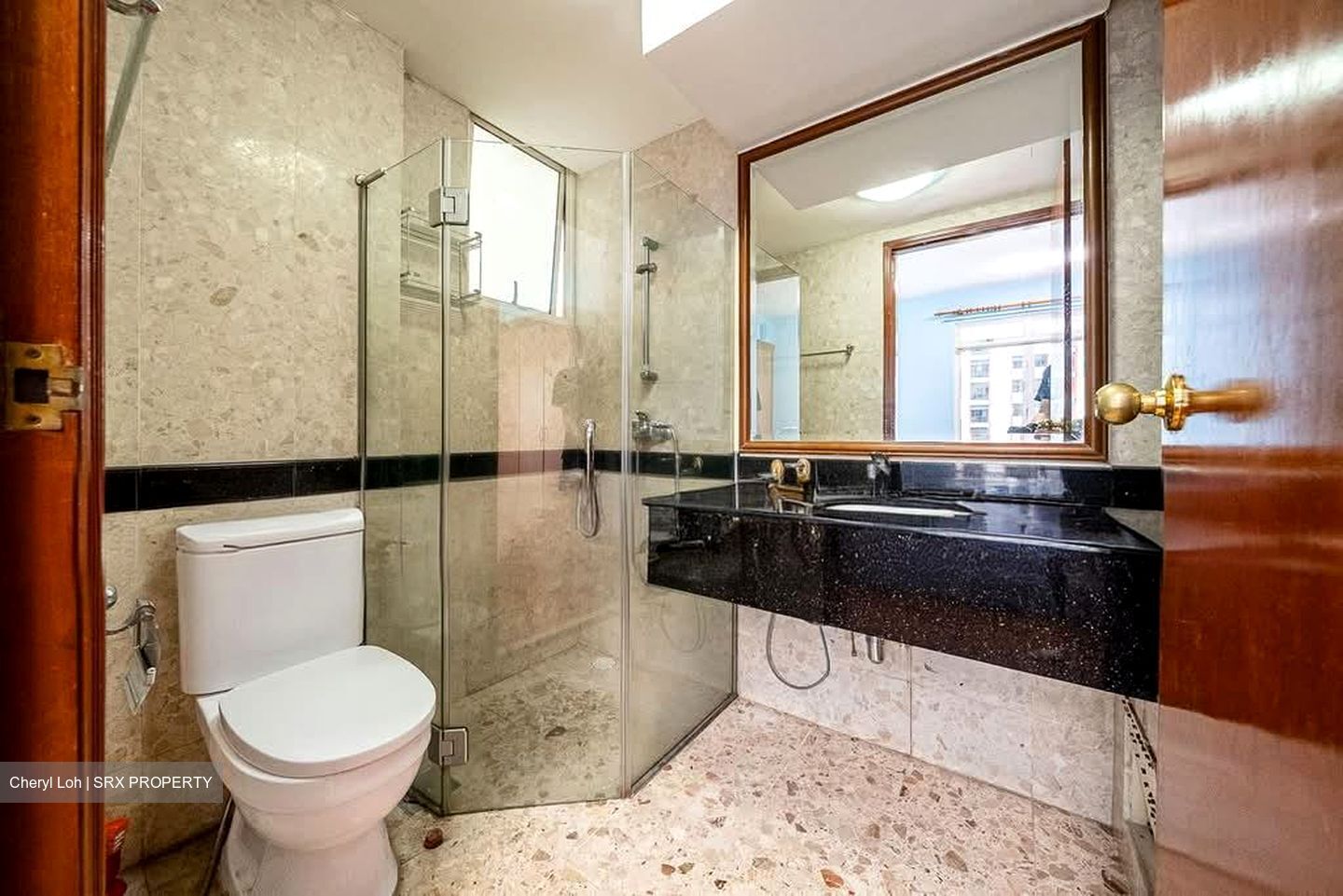 Sun Plaza (D27), Apartment #558332761